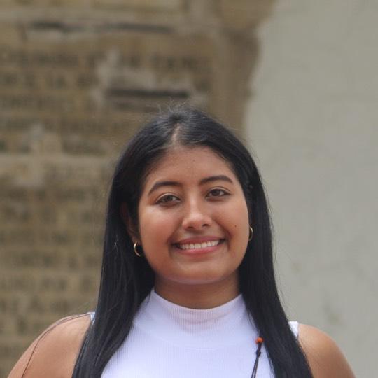 Jonneisa Anyul Perez Gallo