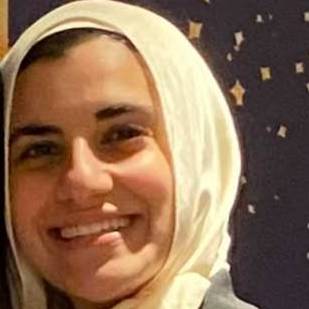 Alaa Mostafa