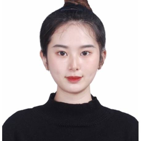 Shuofei Hong